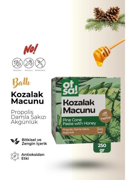 Otsa Çam Kozalak Macun 250 g