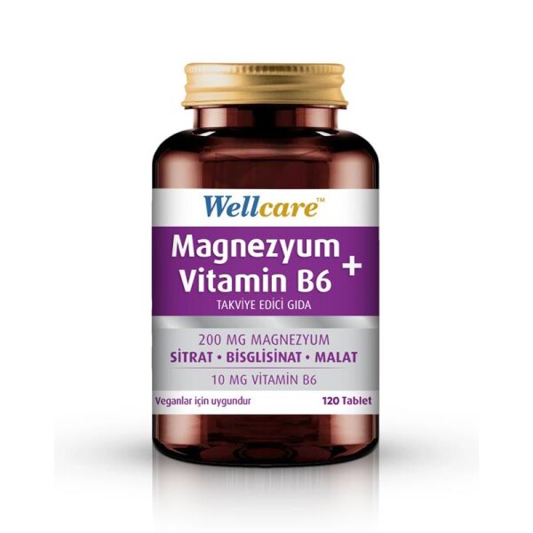 Wellcare Magnezyum Vitamin B6 200/10MG 120 Tablet