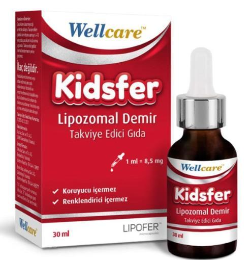 Wellcare Kidsfer Lipozomal Demir 30ml