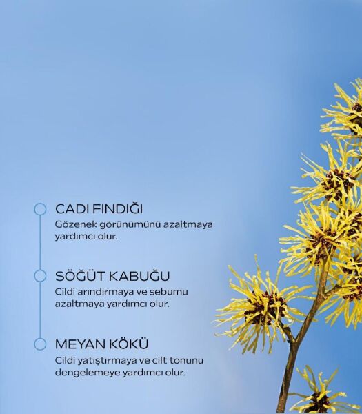 Weleda Naturally Clear Arındırıcı Temizleyici Jel 100 ml