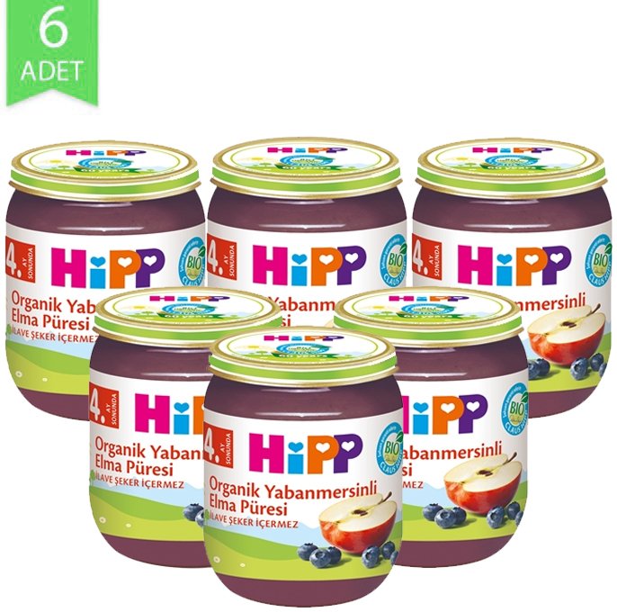 Hipp Organik Meyve Püresi Yaban Mersini Elma 125gr | 6 Adet