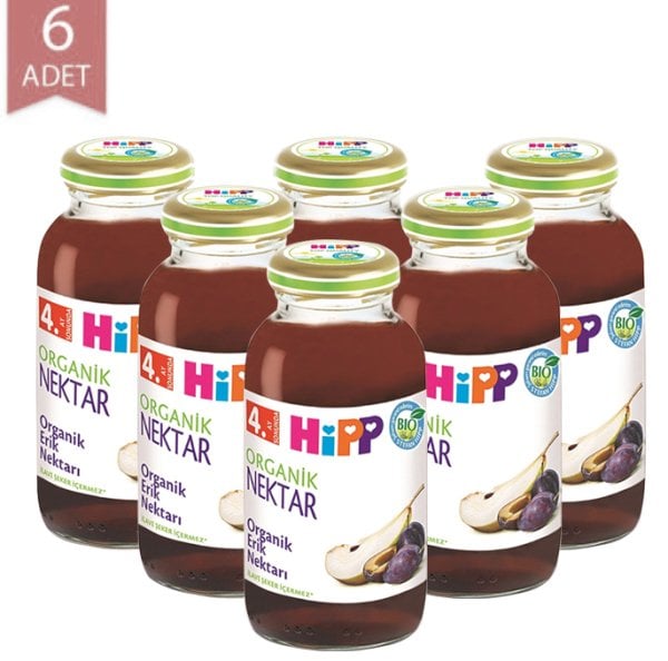 Hipp Organik Erik Suyu 210ml | 6 Adet