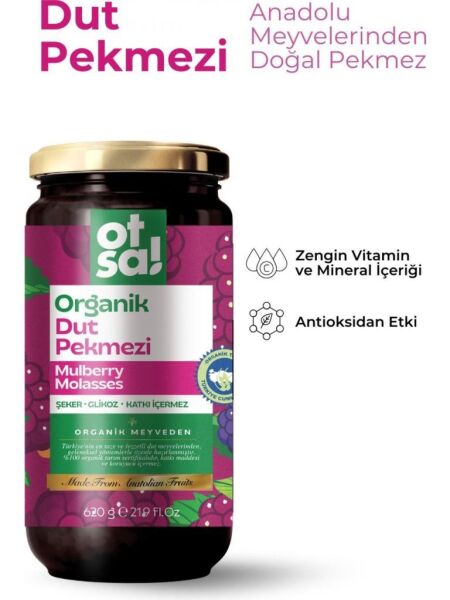 Otsa Organik Dut Pekmezi 620 g