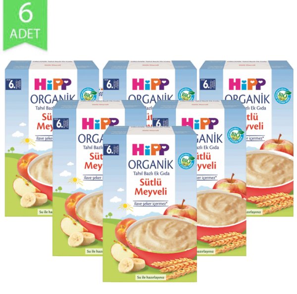 Hipp Organik Ek Gıda Sütlü Meyveli 250gr | 6 Adet