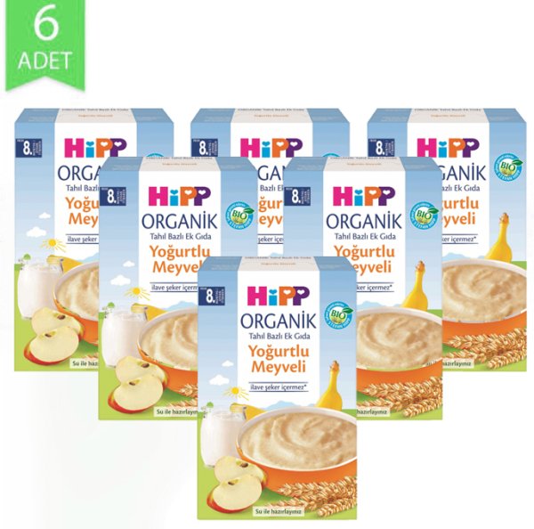 Hipp Organik Ek Gıda Yoğurtlu Meyveli 250gr | 6 Adet
