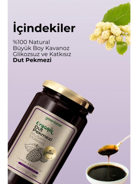 Greenlabel Organik Dut Pekmezi 620 g | Doğal Katkısız