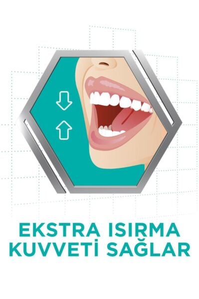 Tat Içermez Diş Protez Yapıştırıcı Krem 40 Gr