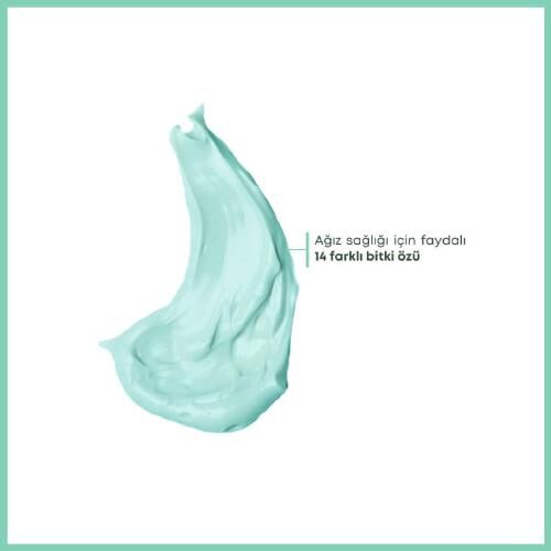 Dentiste Diş Macunu Plus White Ağız Kokusuna Karşı 50 g